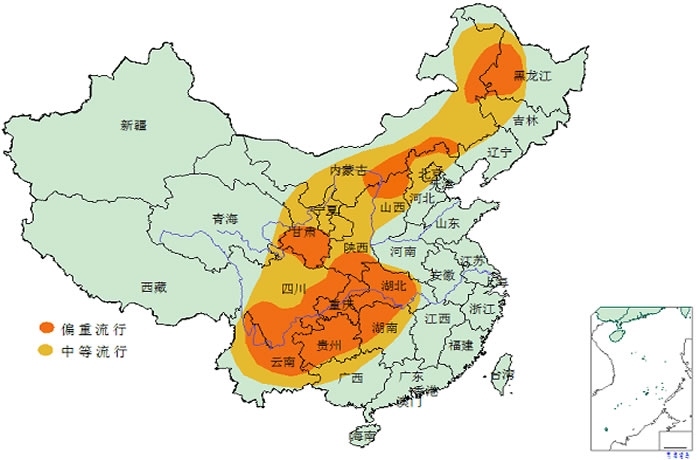 奇发28(集团)中国官方网站
